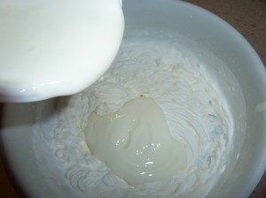 yogutcakealbicocche4