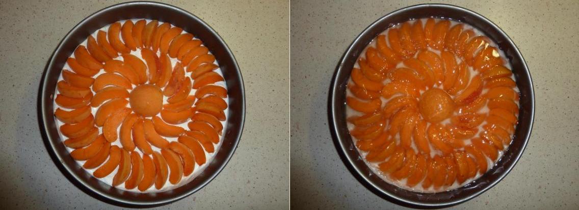 yogutcakealbicocche6