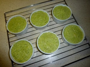 sformatobroccoli (6)