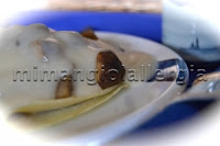 crespelle-senza-glutine-Monica