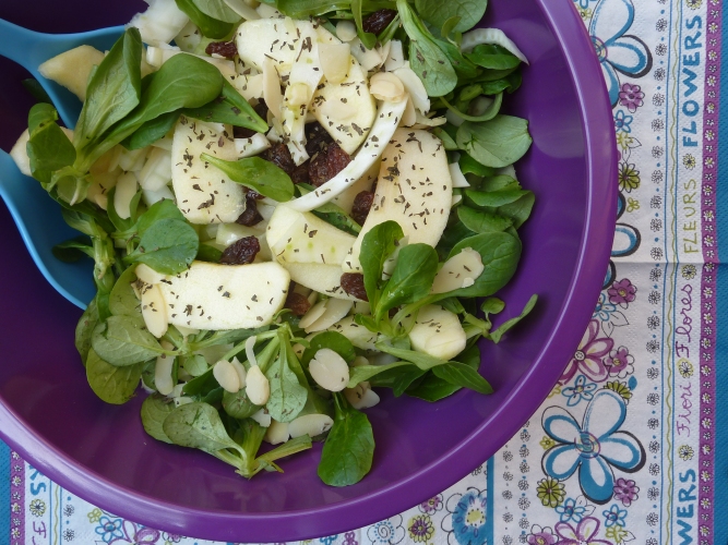 Insalatina primaverile Insalatina primaverile